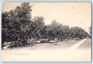 Ontario Canada Postcard View Of Bois Blank Park Island Rotograph c1905 Antique