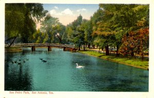 TX - San Antonio. San Pedro Park Scene