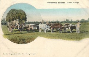 Postcard C-1905 Chile rural farm workers ox cart harvest undivided FR24-3135