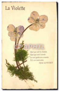 Old Postcard Fantasy Flowers dried Violette