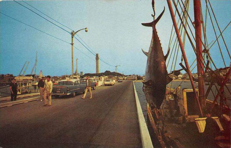 Massachussetts Provincetown    Blue Fin  Tuna Hung on Fishing Boat