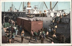 Workers Unloading Bananas from Steamer Detroit Publishing c1905 Postcard