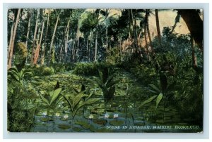 C.1910 Ainahau, Honolulu, Hawaii & South Seas Curio Co. Postcard P184 