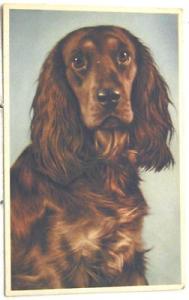A1930    DOG    POSTCARD,  MAINZER ALMA # 300