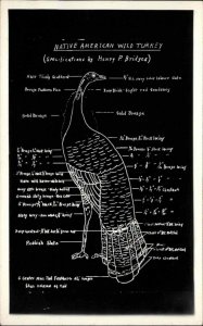 American Wild Turkey Anatomical Chart Henry P Bridges Real Photo Postcard