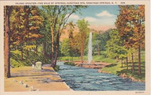 New York Saratoga Springs Island Spouter The Vale Of Springs Saratoga Spa Cur...