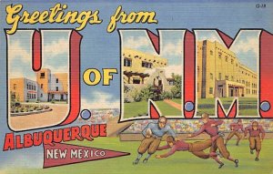 Greetings from Albuquerque Greetings From, New Mexico NM