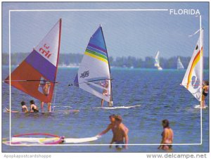 Wind Surfing In Florida