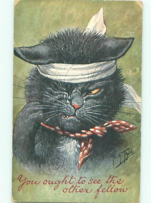 Pre-Linen signed CAT WITH HEAD INJURY AC5436