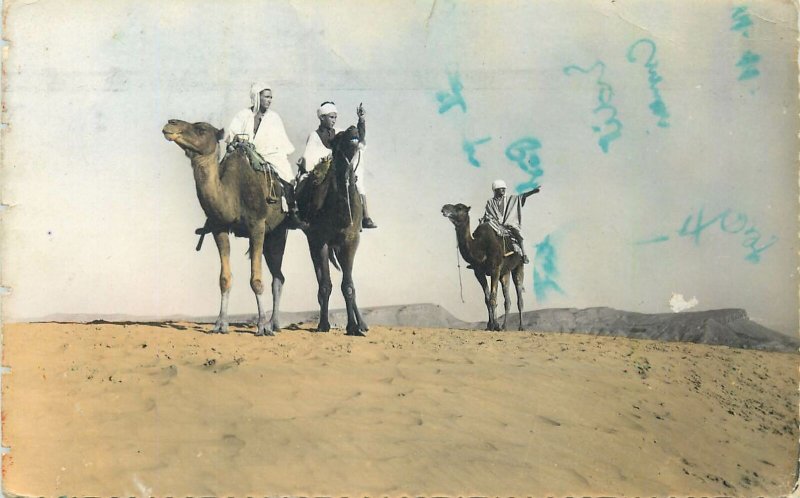 African scenes et types postcard chameliers dans le desert