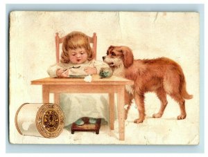 Lot of 3 1880's J&P Coats Six Cord Spool Thread Children Cute Dog P174