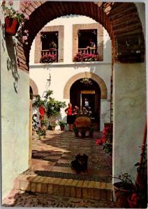 Espana Es Diferente No. 439 Patio Andaluz Spain Dog Postcard D50