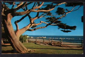 Palisades Park,Santa Monica,CA