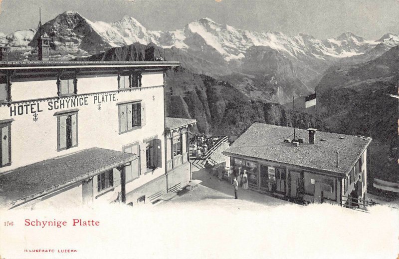 SWITZERLAND ~ SCHYNIGE PLATTE ~HOTEL-ALPS-1900s POSTCARD