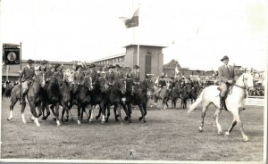 Hippique Horse Sports Utrecht RPPC 06.69