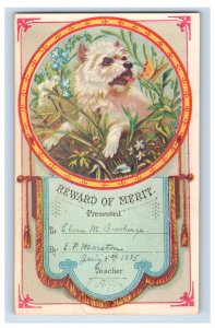 1860s-80s Reward Of Merit Cards Cute Dogs Horses Lot Of 12 F123