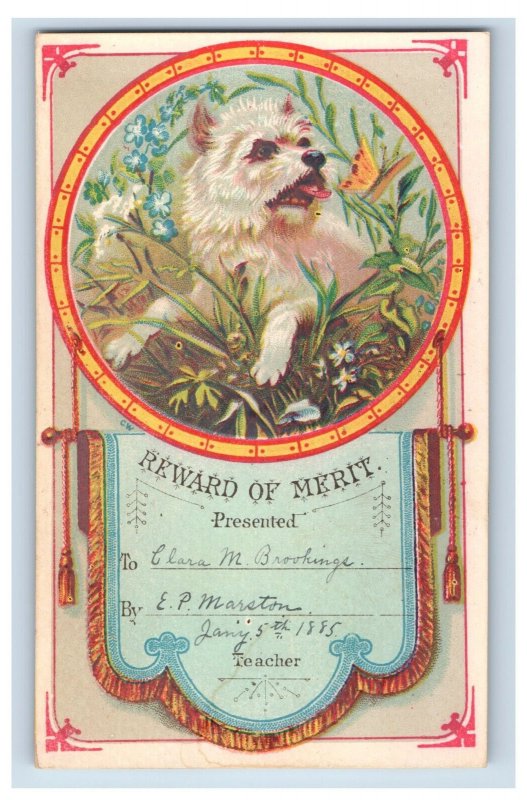 1860s-80s Reward Of Merit Cards Cute Dogs Horses Lot Of 12 F123