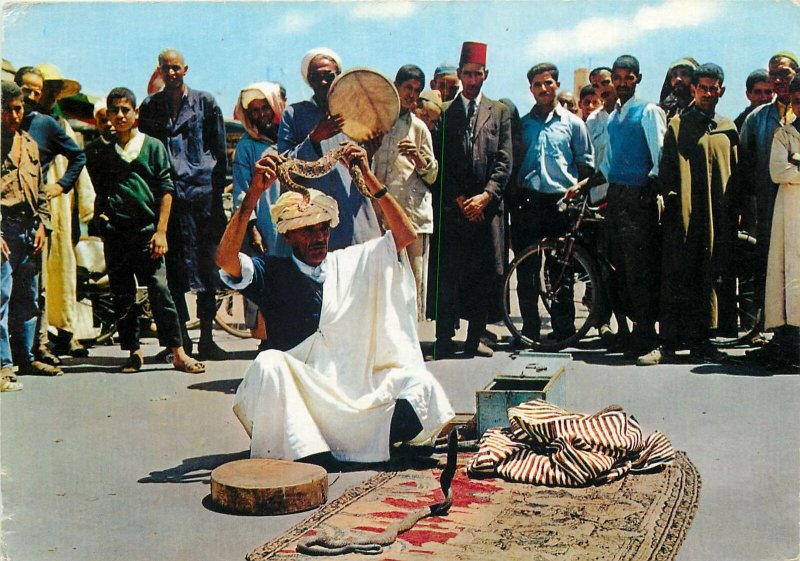 Maroc snake traditional dance postcard