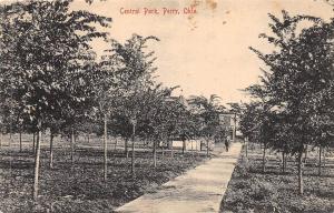 A21/ Perry Oklahoma Ok Postcard c1910 Central Park Man Trees