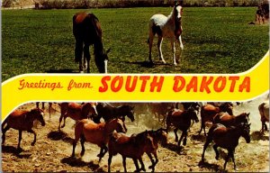 Greetings From South Dakota Multi View Horses