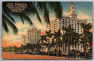 Biscayne Boulevard Everglades Miami Florida Colonial And Columbus Hotel Postcard