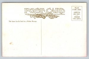 State Capitol  Rhode Island   Postcard
