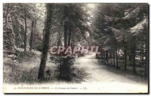 Old Postcard Bagnoles of Orne L Avenue Dante