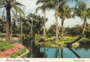 A Small Island at Busch Gardens Tampa Florida