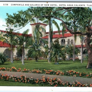 c1920s Tijuana, Mexico Hotel Agua Caliente Campanile Galeria Palm Garden A346