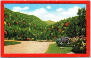 Tennessee TN, Great Smoky Mountains National Park, Road Turn, Vintage Postcard