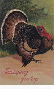 PFB Serie 7721 Thanksgiving Greetings Embossed Turkey 1907