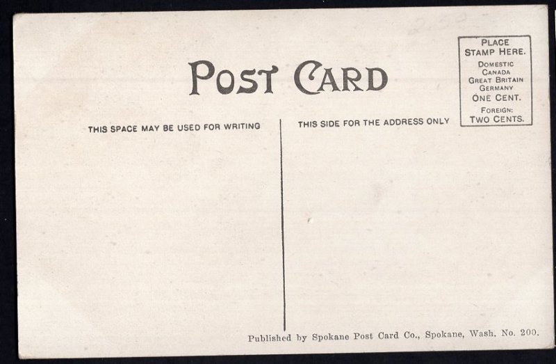 Washington SPOKANE Lower Falls Pub by Spokane Post Card Co. - Divided Back