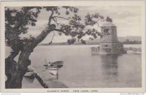 Connecticut Twin Lake Alvords Tower Albertype