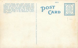 New Orleans Louisiana Chartres Street, French Quarter WB Postcard, Old Car