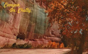 Postcard White House Ruin Canyon De Chelly Arizona AZ Petley Studios Publishing