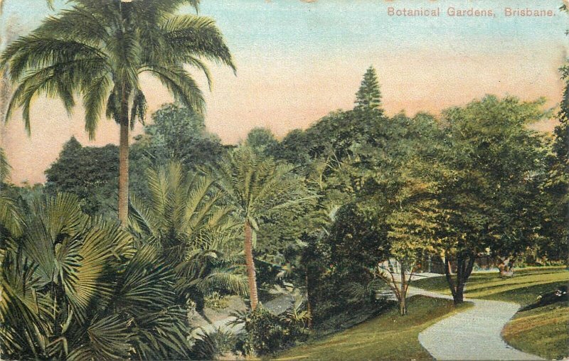 Australia Queensland Brisbane botanical garden early postcard