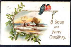 A Bright and Happy Christmas Birds Scene