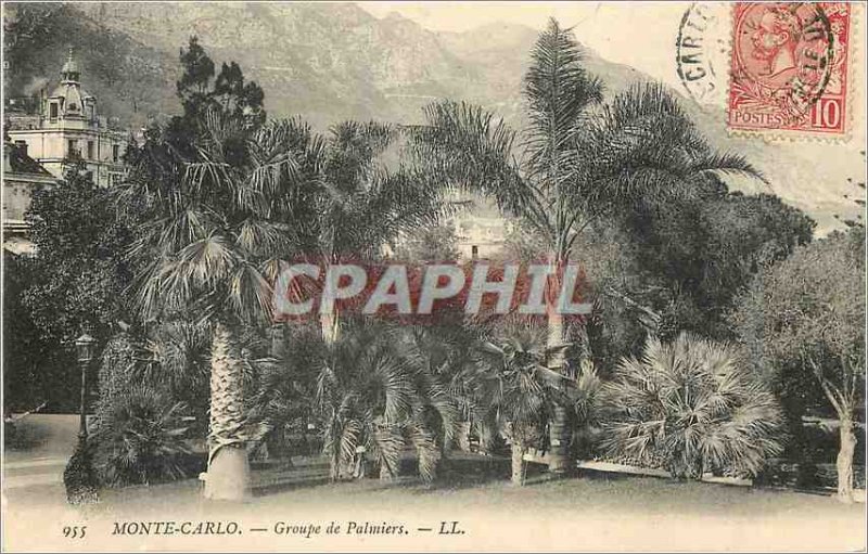 Old Postcard MONTE CARLO � Palm Group