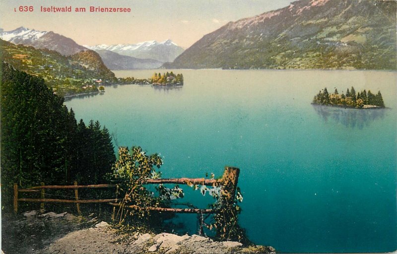 Europe Switzerland Postcard Iseltwald