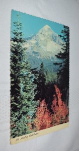 Mt Hood in Fall Colors Oregon Postcard Anderson's Scenic Post Cards D-14141