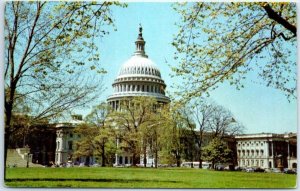 Postcard - United States Capitol - Washington, District of Columbia