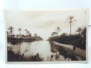 Mam Fishing on the River Nile Cairo Egypt Vintage Egyptian Postcard Early 1900s