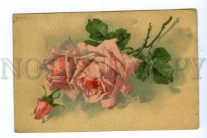 494977 ROSES by C. KLEIN vintage Russian postcard