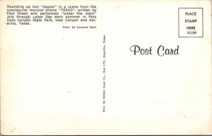 Postcard ANIMAL SCENE Amarillo Texas TX AK8715