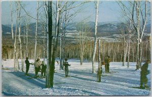 Whiteface Mountain Ski Center New York NY Practice Slope Skiers Postcard H65