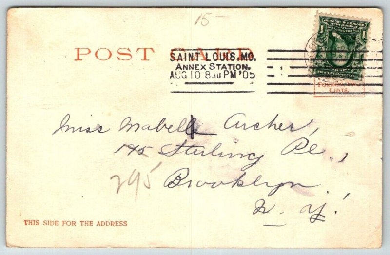 Young Braves  Native American Children  Postcard  1905