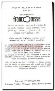 Image Entremets Francorusse Raptor Eagle Faucoun