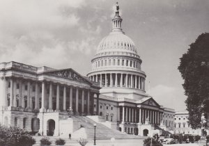 Washington D C The National Capitol Building Real Photo