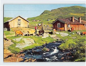 Postcard At the Out Farm Norway