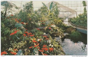 CALGARY, Interior of the tropical aviary at the world famous Calgary Zoo, Alb...